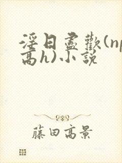 淫日尽欢(np高h)小说