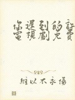 你迟到的许多年电视剧免费完整版