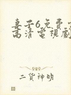 妻子6免费完整高清电视剧在线观看