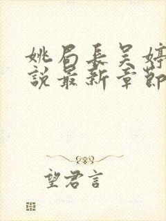 姚局长吴婷婷小说最新章节