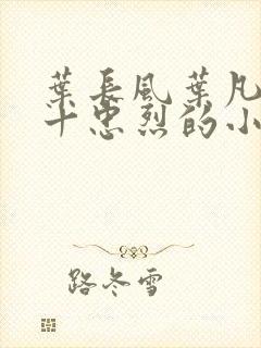 叶长风叶凡一门十忠烈的小说封面