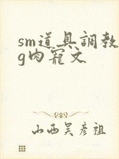 sm道具调教bg肉宠文封面