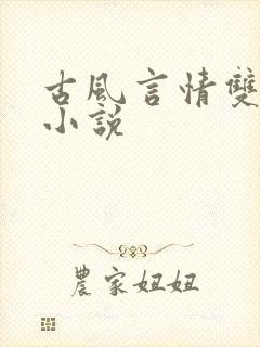 古风言情双男主小说