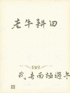 老牛耕田