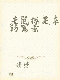 老鼠总是来家里的寓意封面