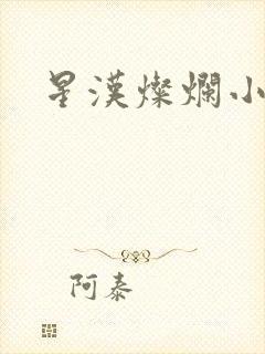 星汉灿烂小说封面