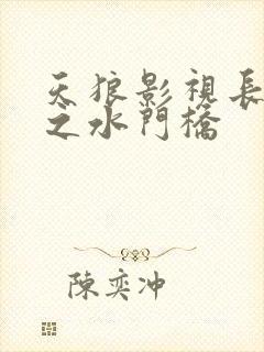 天狼影视长津湖之水门桥封面