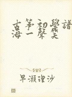 古筝初学谱子沧海一声笑封面