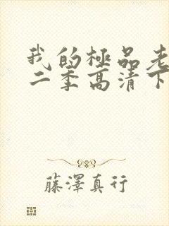 我的极品老婆第二季高清下载