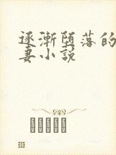 逐渐堕落的美人妻小说封面