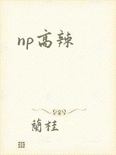 np高辣