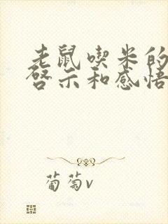 老鼠吃米的故事启示和感悟