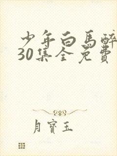 少年白马醉春风30集全免费观看