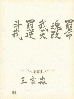 斗罗武魂罗三炮我逆天改命笔趣阁