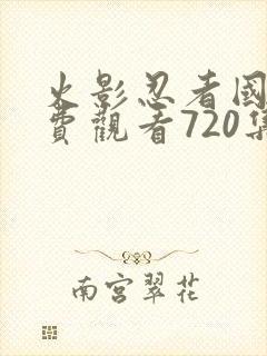 火影忍者国语免费观看720集