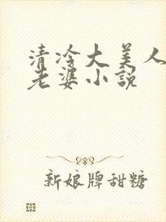 清冷大美人是我老婆小说
