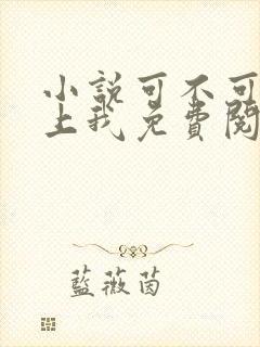 小说可不可以爱上我免费阅读