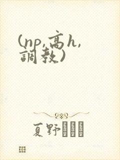 (np,高h,调教)