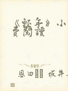 《轻年》小说免费阅读