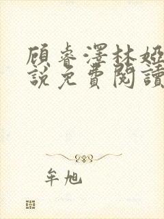 顾睿泽林娅楠小说免费阅读最新章节