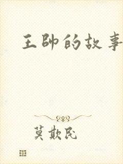 王帅的故事封面