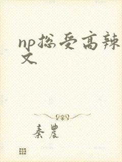 np总受高辣h文封面