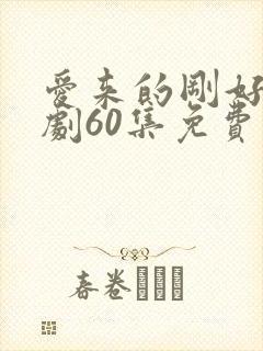 爱来的刚好电视剧60集免费观看封面