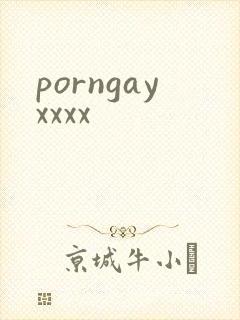 porngayxxxx封面