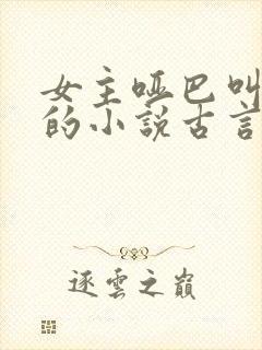 女主哑巴叫温婉的小说古言封面