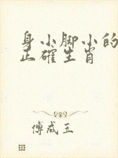 身小脚小的打一正确生肖封面