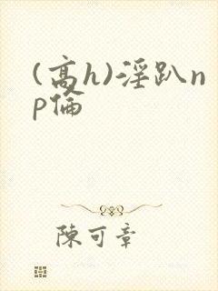 (高h)淫趴np伦