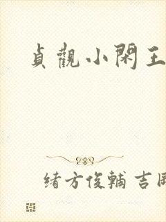 贞观小闲王悟途