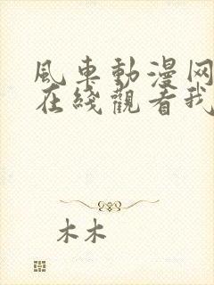 风车动漫网动漫在线观看我独自升级