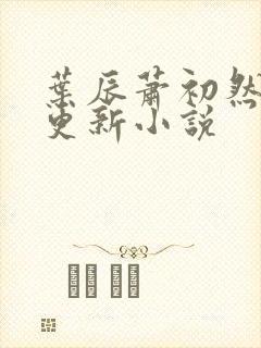 叶辰萧初然最快更新小说