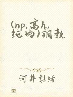 (np,高h,纯肉)调教