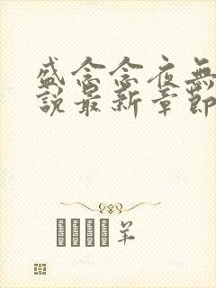 盛念念夜无渊小说最新章节更新