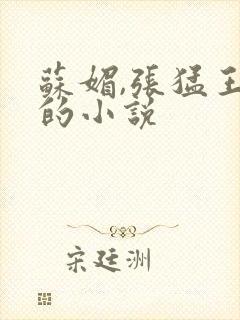 苏媚,张猛王海的小说