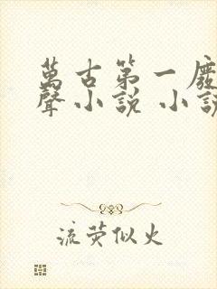 万古第一废材有声小说 小说