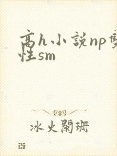 高h小说np双性sm
