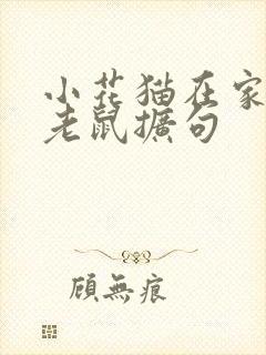 小花猫在家里捉老鼠扩句