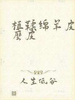 植鞣绵羊皮是什么皮