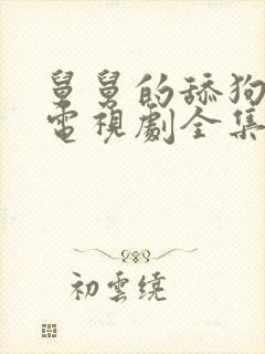 舅舅的舔狗爱情电视剧全集在线观看