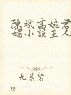 陈斌高婉君赵心媚小说主人公免费阅读