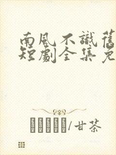 南风不识旧时人短剧全集免费播放