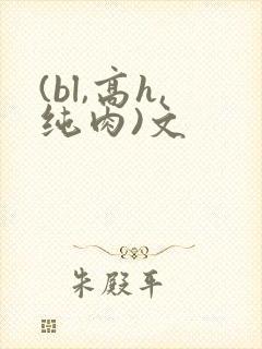 (bl,高h,纯肉)文