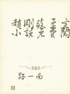 赵刚苏柔完整版小说免费阅读封面