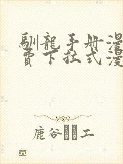 驯龙手册漫画免费下拉式漫画全集