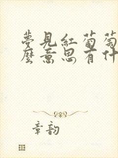 梦见红葡萄是什么意思有什么预兆封面