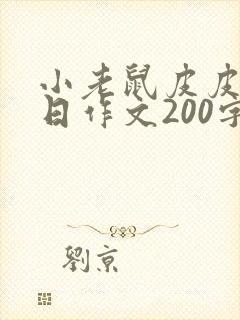 小老鼠皮皮的生日作文200字