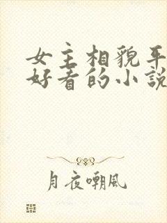 女主相貌平平的好看的小说